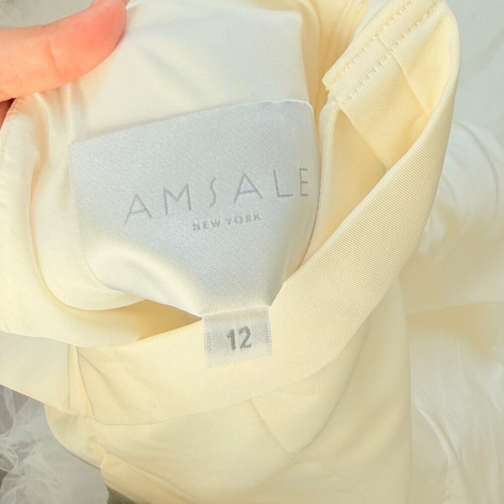 Amsale Wedding Dress Miller Spring 2018 Collection Bridal Size 12 - Picture 9 of 11